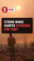 Argentina declares fire emergency as wind threatens Patagonia containment efforts