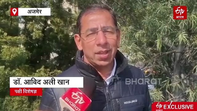आनासागर झील में खुलेआम हो रहा है प्रवासी पक्षियों का शिकार, वीडियो सामने आने के बाद हरकत में वन विभाग
