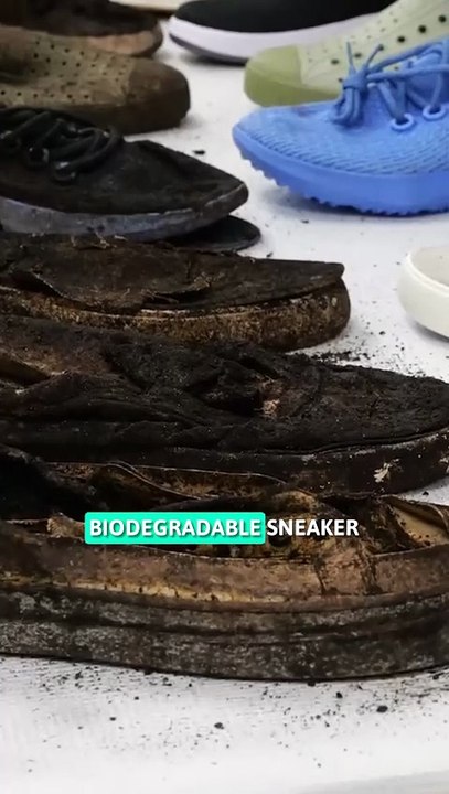 These shoes can save the oceans - Blueview shoes