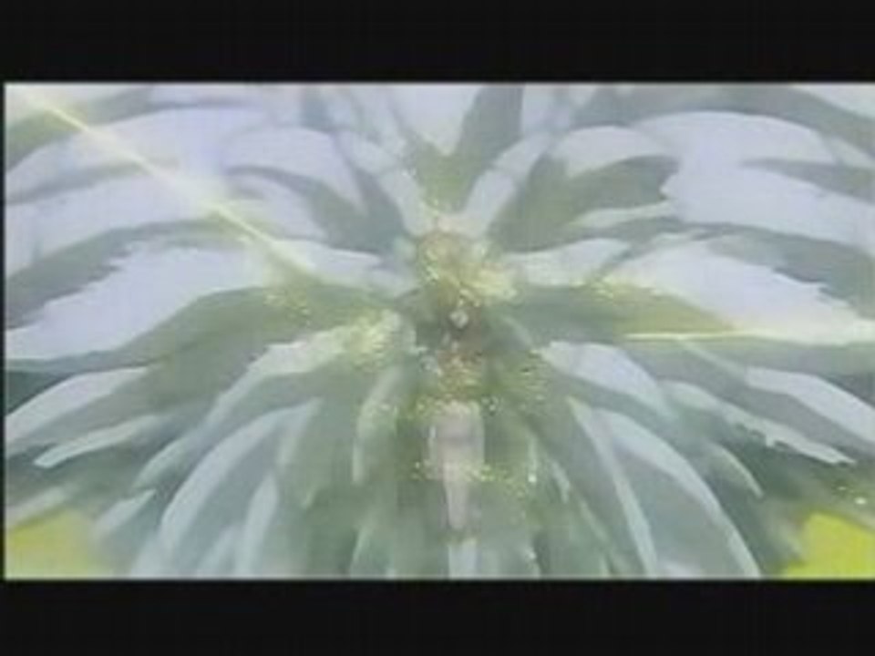 The fight of The Elementaliste