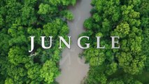 Deep Jungle Background 🌴 | Wild Nature Sounds | Relaxing Yet Powerful Forest Vibes