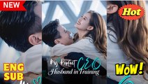 My Perfect CEO Husband in Training Chinese Drama - English Sub