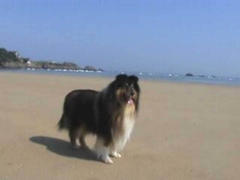 20080521110914