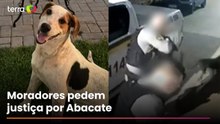 Cão comunitário morre após ser baleado no interior do Paraná