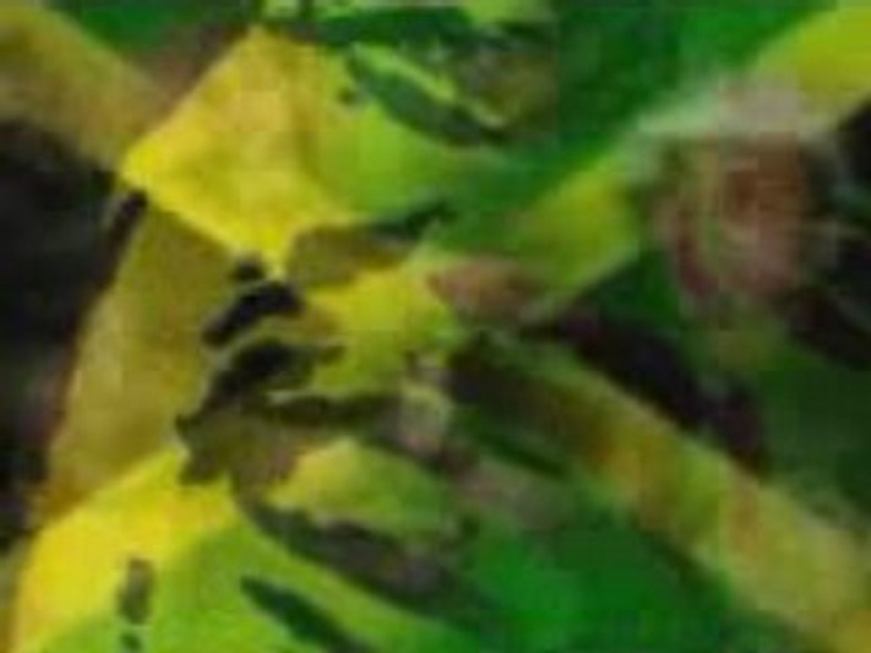 BOB feat SEAN PAUL & BLUE CANTRELL