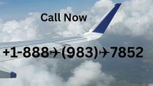 How to Contact American Airlines® Customer Service: Official 24/7 Support Guide