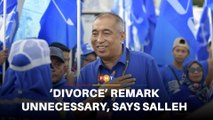 Neither necessary nor constructive, Salleh says on ‘divorce’ remark