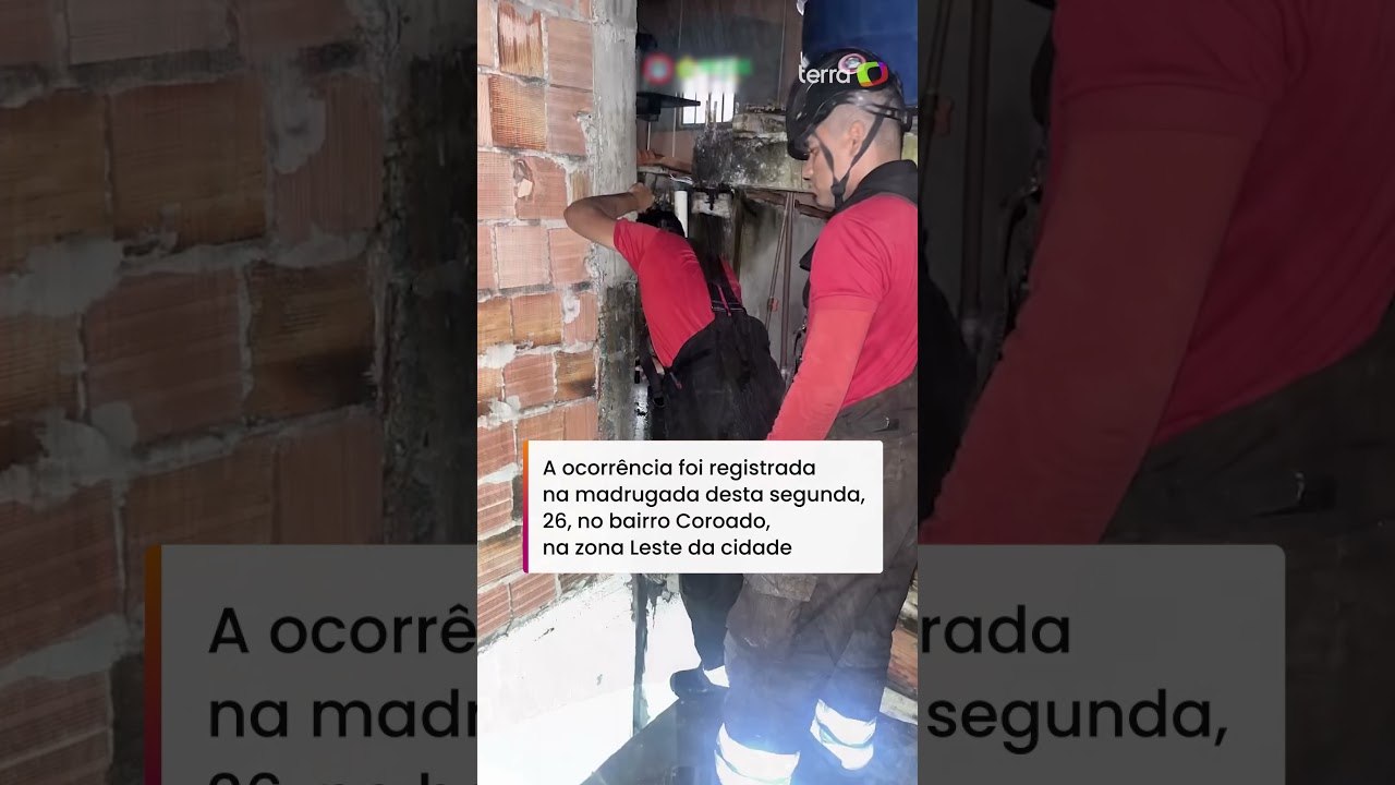 Corpo de Bombeiros resgata filhote preso entre duas paredes em Manaus #shorts