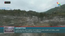 Argentina: Over 40,000 hectares of forests and agricultural land reduced to ashes by wildfires