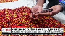 Mariana Grilli: Consumo de café no Brasil cai 2,31% em 2025