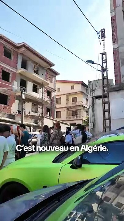Je préfère les chats aux humains » : le premier café à chats ouvre à Alger 😻🇩🇿