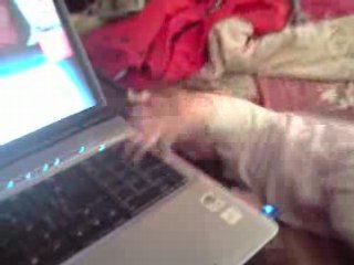 c'est mon jouet pas le tiens !!