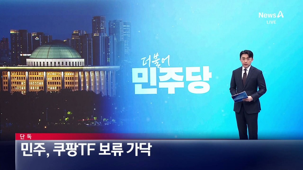 [단독]민주당, ‘쿠팡TF’ 출범 보류 가닥