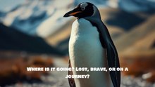 The Penguin That Went Viral by Walking Alone to the Mountain | SmartSphere Hub | Learn | Explore | Inspire |