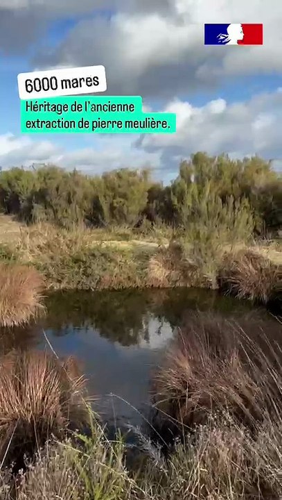 Journée mondiale des zones humides - DREAL Nouvelle-Aquitaine