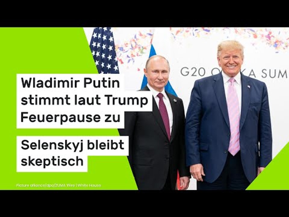 Wladimir Putin stimmt laut Trump Feuerpause zu - Selenskyj bleibt skeptisch
