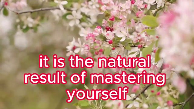 Control Your Mouth, Mood, Money & Mind | Daily Habits for Success | Brian Tracy Motivation