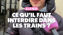 À la rue : Ce qu'il faut interdire dans les trains ?