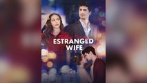 Falling For My Estranged Wife Isodes