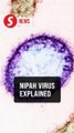 EXPLAINER: What to know about Nipah virus after cases emerge in India