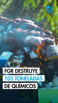 FGR destruye más de 105 toneladas de precursores químicos