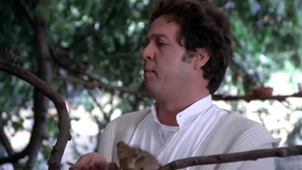 Oh, Serafina (1976)
