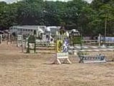 Moi & Colorado en D4p