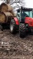 Massey Ferguson #rolnictwo #agricole #farm
