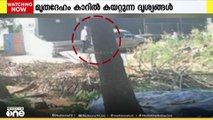 കോഴിക്കോട് യുവതിയെ കൊലപ്പെടുത്തിയ കേസിൽ സിസിടിവി ദൃശ്യങ്ങൾ പുറത്ത്...