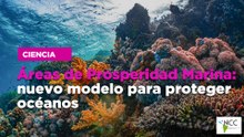 Áreas de Prosperidad Marina: nuevo modelo para proteger océanos