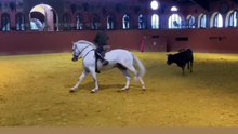 WhatsApp Video 2026-01-30 at 18.57.16