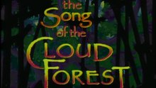 The Song Of The Cloud Forest (1989) - Opening Title Intro (HD DVD Rip)