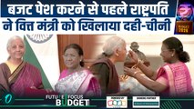 Union Budget 2026: राष्ट्रपति Droupadi Murmu से मिलने पहुंची Nirmala Sitharaman, सौंपी बजट की कॉपी