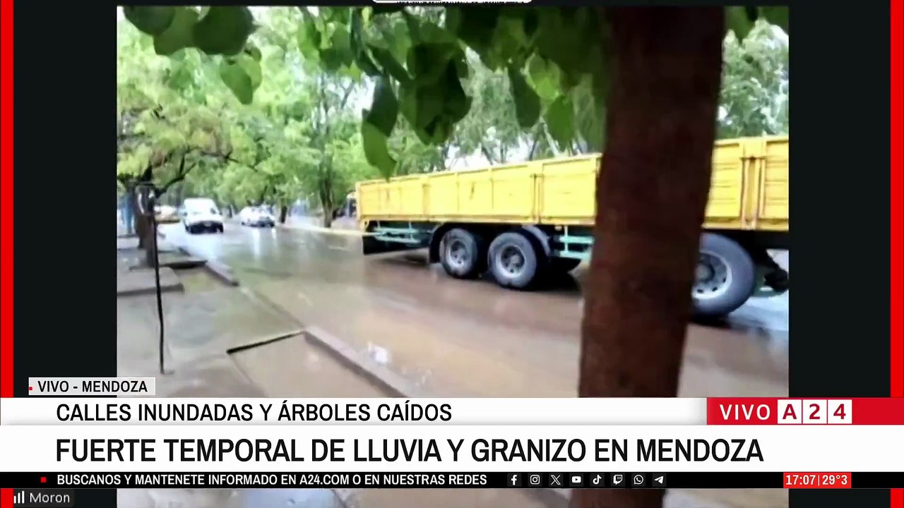 Temporal
