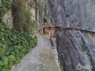El Caminito del Rey - Malaga