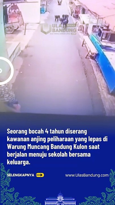 Bocah 4 Tahun Diserang Anjing Peliharaan Lepas di Warung Muncang Bandung, Korban Dilarikan ke RS