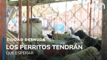 Así fue la recuperación del predio del Refugio Franciscano I Ciudad Desnuda