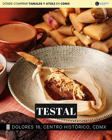 LOS MEJORES TAMALES EN CDMX