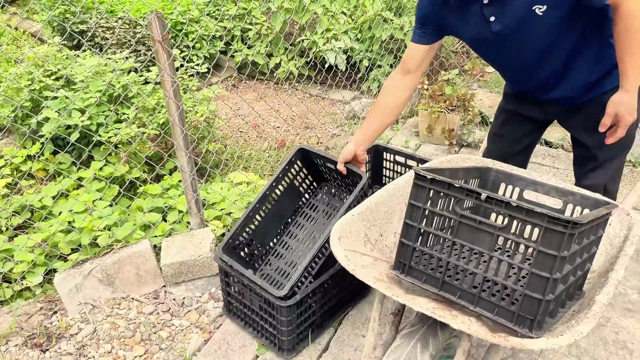 This device deserves a Nobel Prize! The secret use of plastic fruit containers! Clever Maker