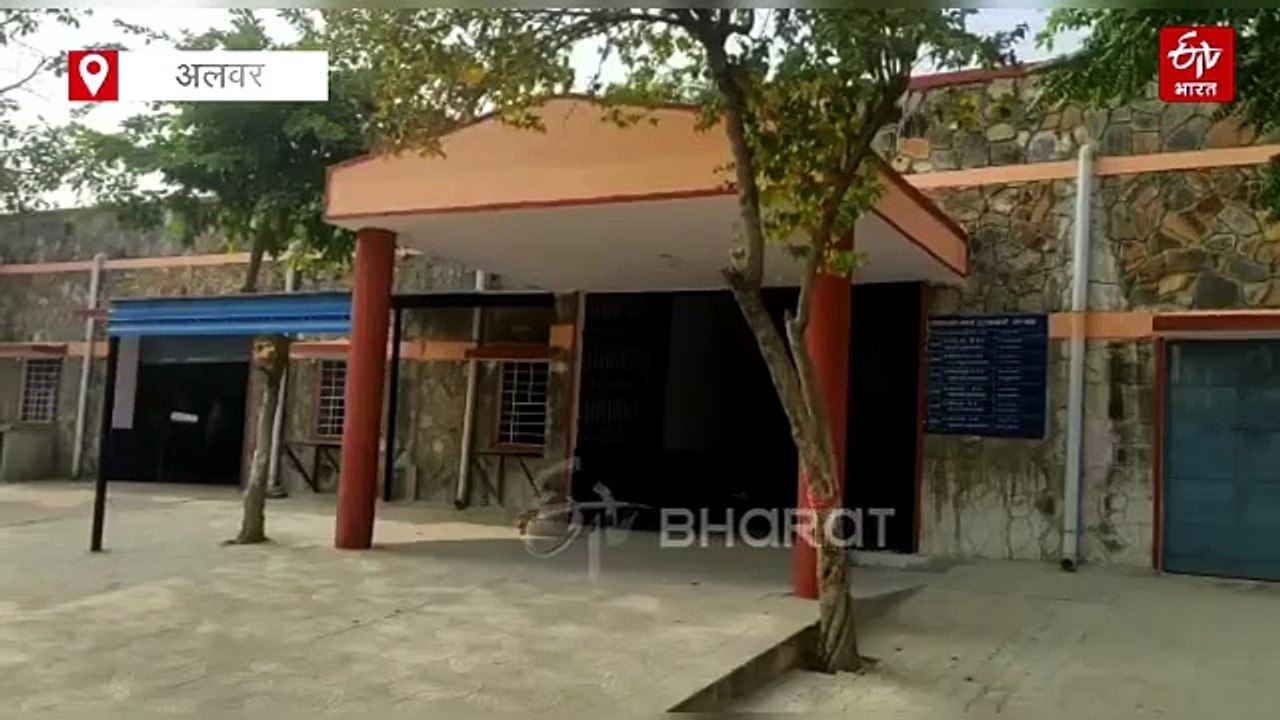 अलवर में डॉग बाइट का बढ़ता खतरा, हर साल 12 हजार से ज्यादा आ रहे मामले, जनवरी में 933 केस आ चुके