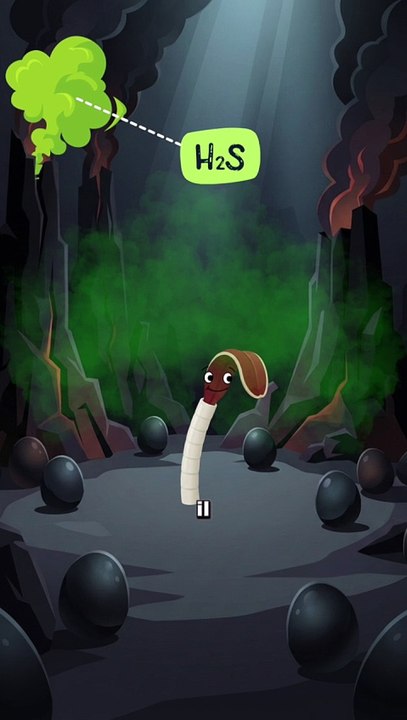 L'animal qui ne MANGE pas ! #ver #ocean #abysse #animaux #nature