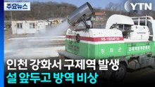 인천 강화서 구제역 발생...설 앞두고 방역 비상 / YTN