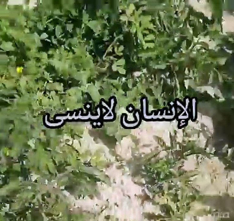 الإنسان لاينسى نقي قلبك