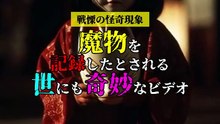魔物を記録したとされる 世にも奇妙なビデオ