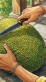 What is a Jackfruit called in your language? #villagecooking #indianvillagelife #ghiblistyle #asmr