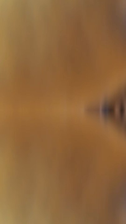 prêt pour goupix ? #pokemon #gaming #jeuxvidéo #communityday #shiny #nintendo