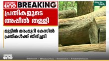 മുട്ടിൽ മരംമുറി കേസിൽ വനംവകുപ്പ് നടപടിക്കെതിരെ പ്രതികൾ നൽകിയ അപ്പീൽ തള്ളി