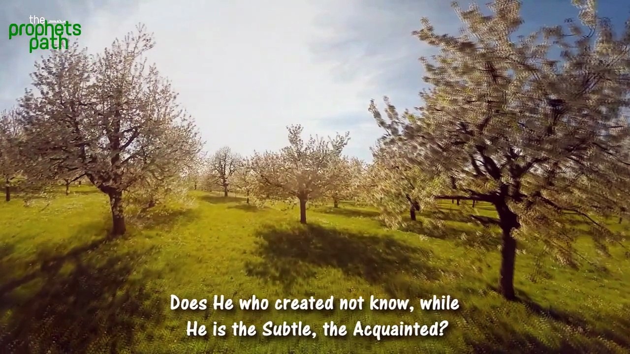 Surah Mulk - Calming Recitation