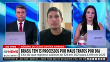 Processos por maus-tratos a animais disparam e chegam a 13 por dia; deputado estadual comenta