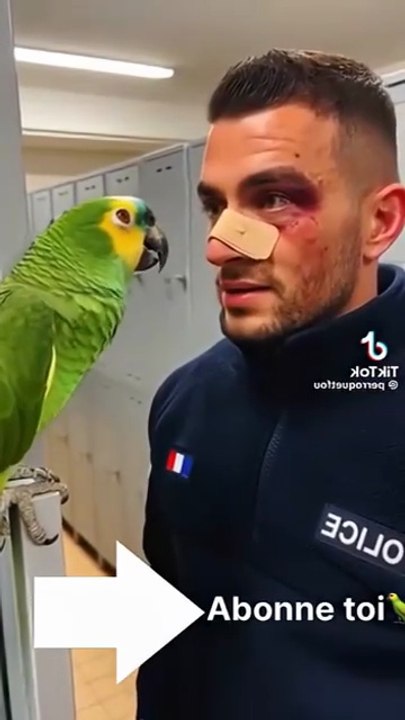 Le perroquet face au flic🦜😂#humourfrançais #funny #humour #perroquet #humor #comédie #ai #humour